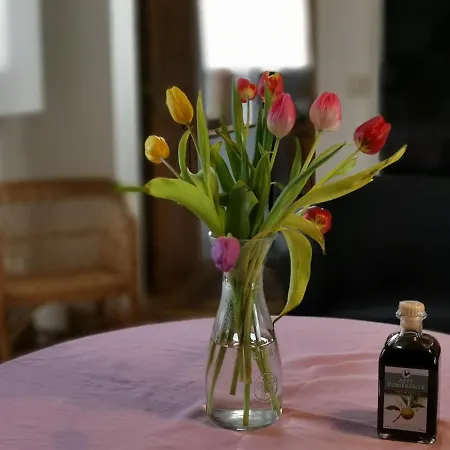 Apartament Rosenhaus Der Wasserburg Gielow
