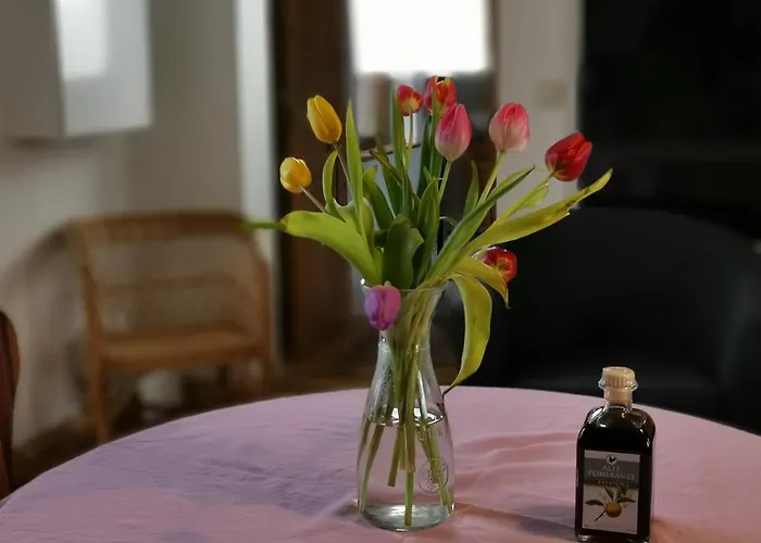 Daire Rosenhaus Der Wasserburg Gielow